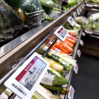 ESL Tag Clip vertical para colgador de metal