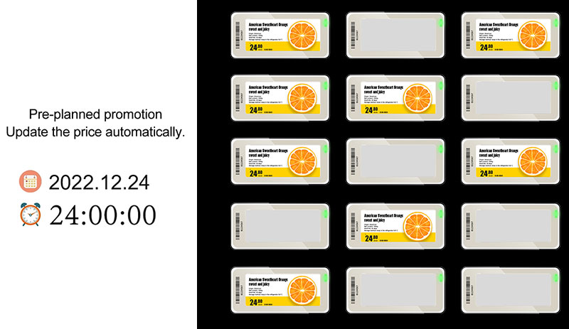 electronic shelf label