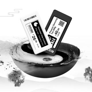 ESL en blanco y negro de 2,66 pulgadas